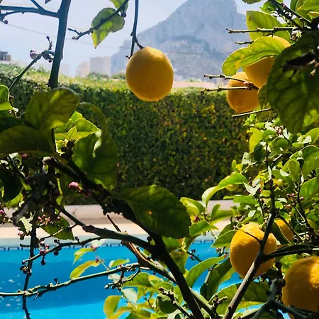 Casa Soleada En Lägenhet Calpe